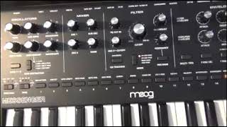 Moog Messenger tuning bug osc 2