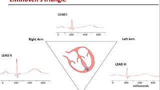 ECG Lab - Principles of ECG (Dr Brian Carson)