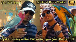 Lalukhet Exotic Bird Parrot Hen and Rooster Market 21-4-24 Karachi | الطيور الببغاوات الدجاجة والديك