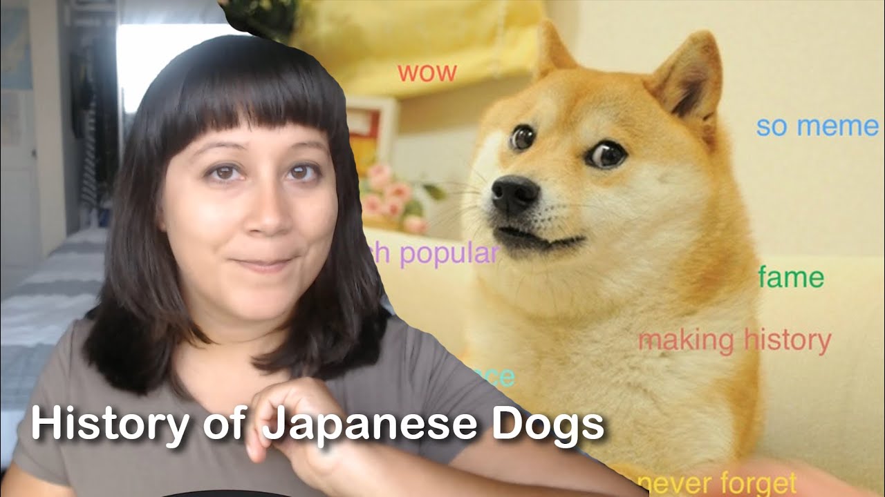 The History of Native Japanese Dog Breeds YouTube