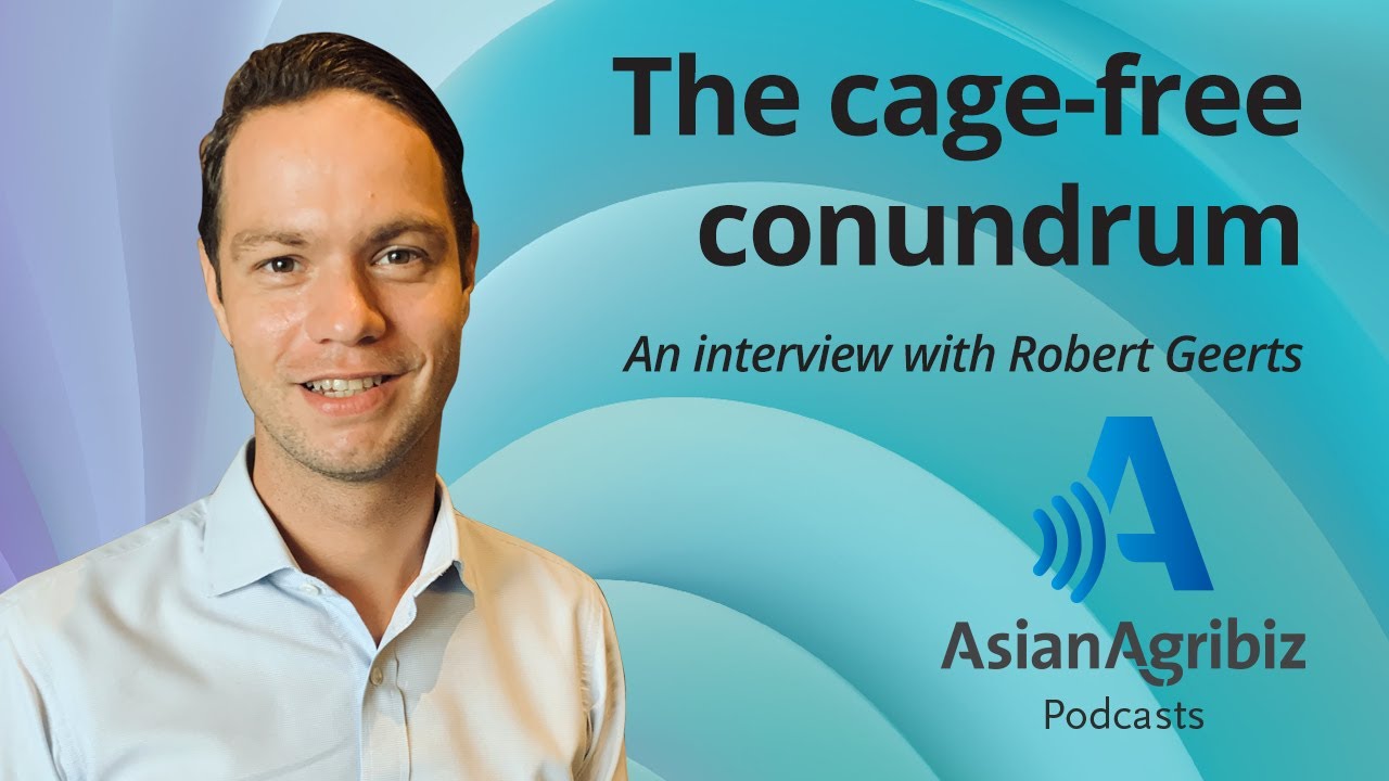 The cagefree conundrum. Podcast YouTube