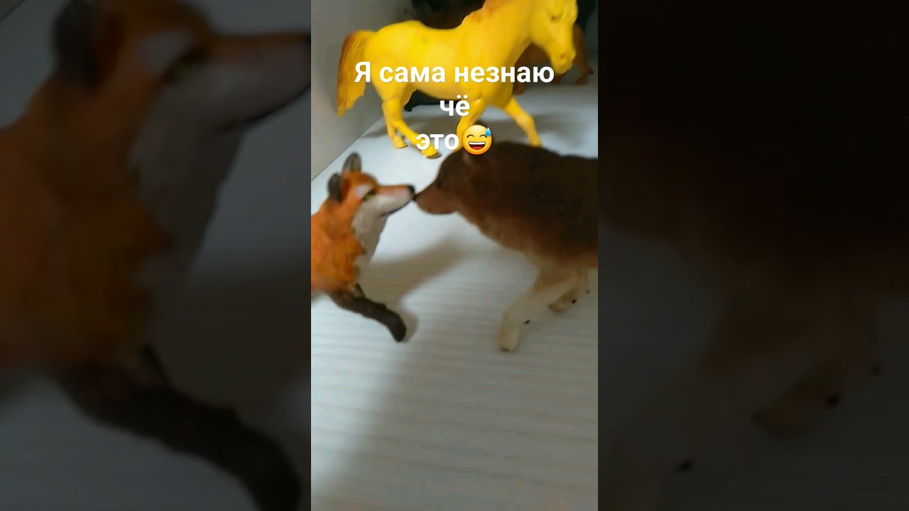 Какая то фигня😅 