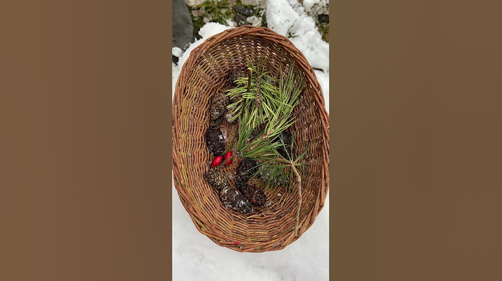 Nachhaltig durch den Advent | Tipp #1: Adventsdeko