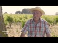 Ref:VRe99bHwYBE Aoc vacqueyras - the large terrace of the garrigues - english subtitles