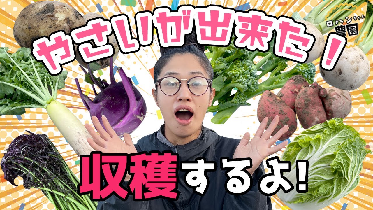 Vegetable harvest] December vegetable harvest! We deliver winter
