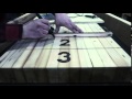 Shuffle Board Template, Timelapse Shuffle Board Template, Timelapse