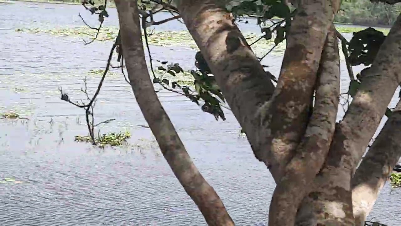 Balalla maha wewa....anuradhapura  para