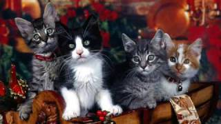 ABBA - I'm a Marionette - Santa Claus Cat