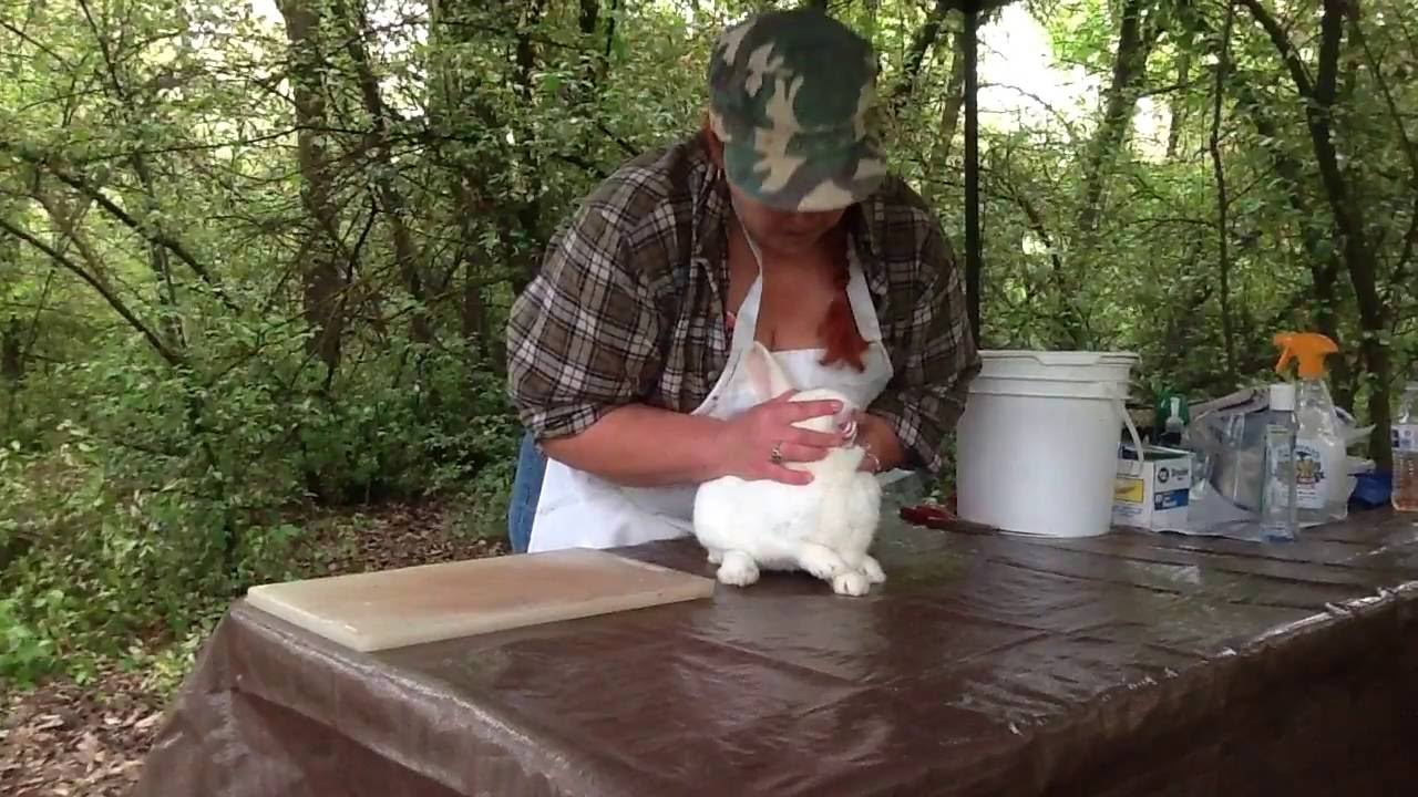 How To Butcher A Rabbit 1Of 3