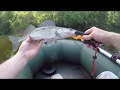 Поиск ХИЩНИКА/Судак на Псле/Встреча с TRY FISHING