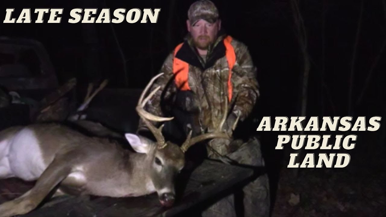 Hunting Public land Late Season Arkansas Buck Dropped in His