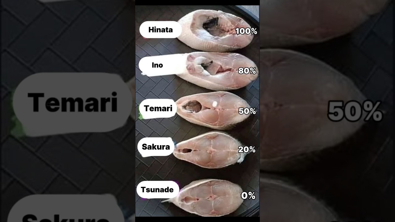 Tsunade 🗿 Hinata 😂 