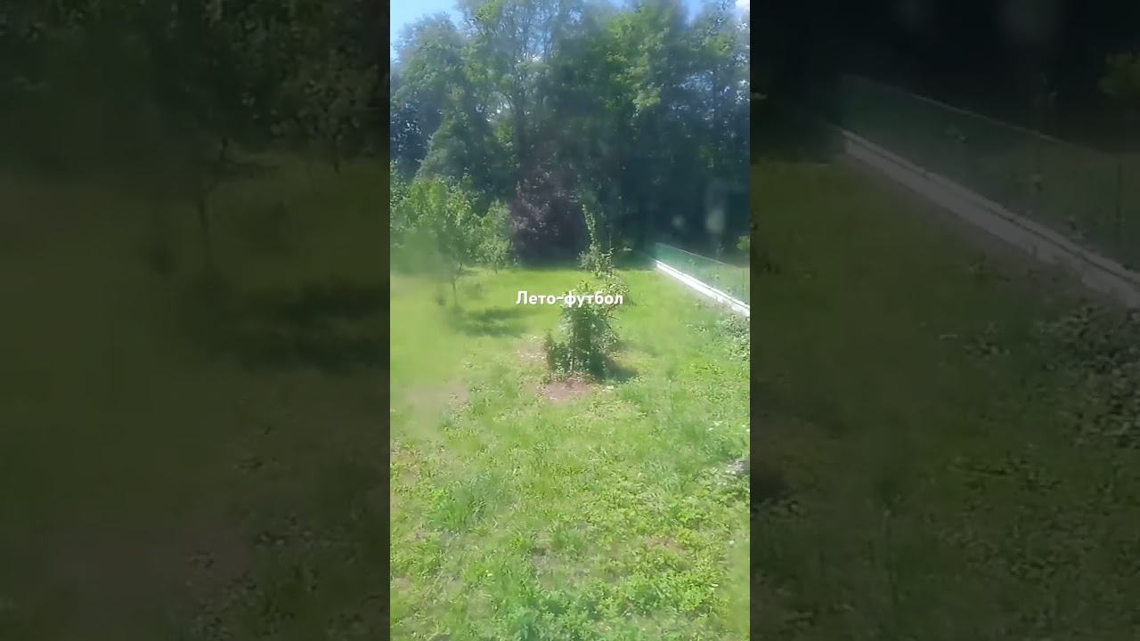 26 июня 2025 г.