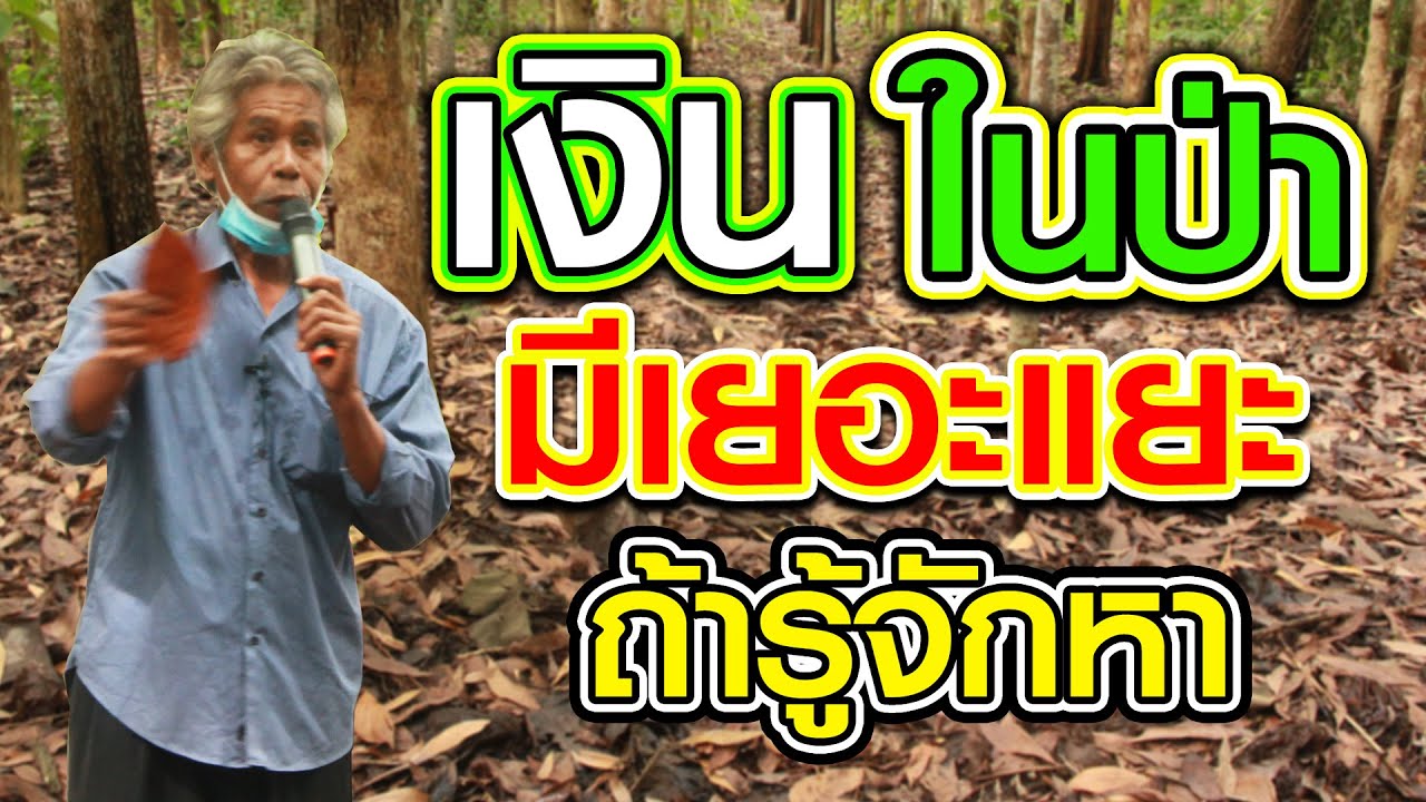 ดิน หรือ ปุ๋ยใบไม้ หน้าฝนทำง่ายมากๆ | คนรักษ์ป่า ep 122