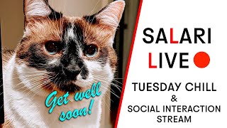 Salari&#39;s Livestream 🔴: A Sick Cat and a New Video