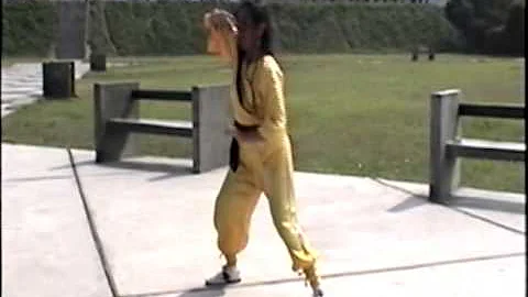 Danza Yang - 24 posiciones