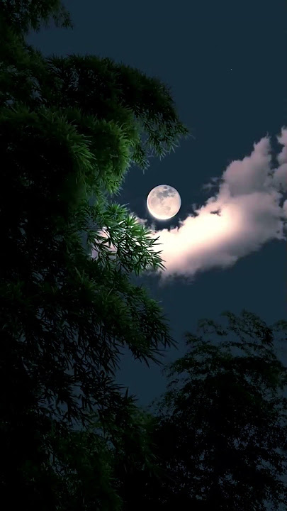 Status Whatsapp Malam yang Indah || Video Malam Bulan yang Menenangkan #bulan #malam #shorts #viral #status #yt