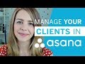 Client Management using Asana