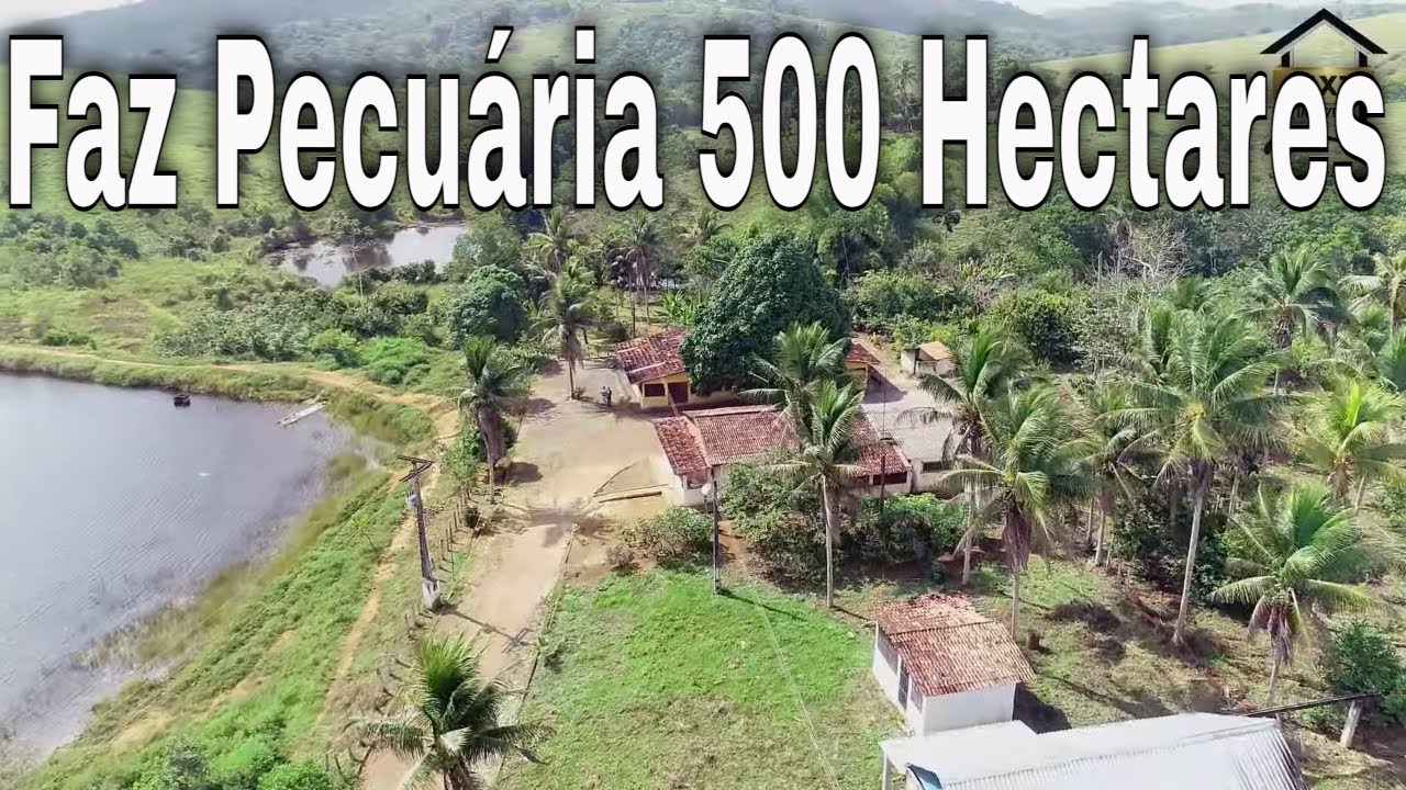 Maraú - BA. Fazenda pecuária de 500 Hectares a venda. Top D +