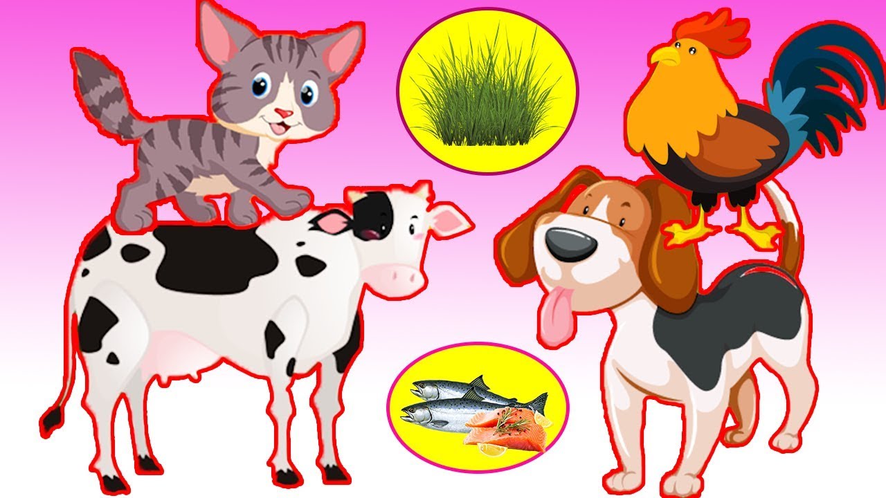 La Fattoria Degli Animali Per Bambini Impara Gli Animali In Inglese Youtube