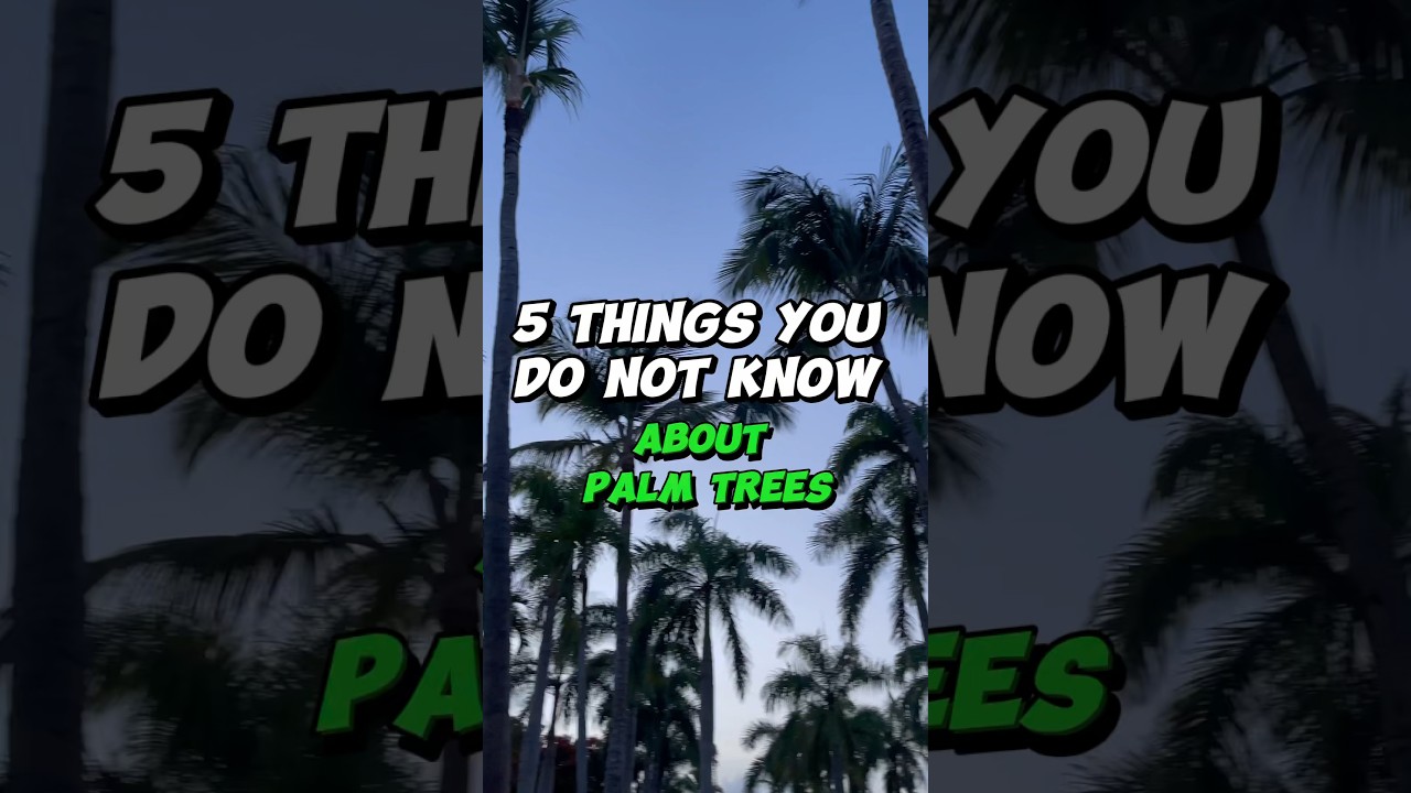 Wild Facts about Palm Trees That Will Blow Your Mind! #shorts #floridalife #movetoflorida #facts