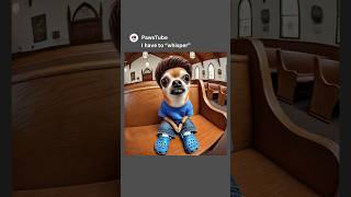 Chihuahua has to whisper in church 👀 #memes Content