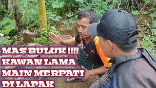 GREBEK KANDANG MERPATI KAWAN LAMA DI LAPAK