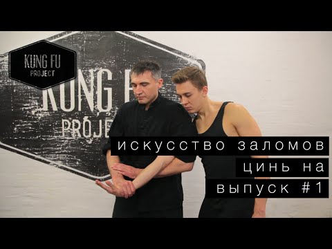 Цинь-на. Искусство заломов. Выпуск #1