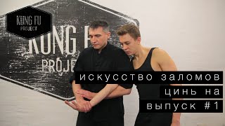 Цинь-на. Искусство заломов. Выпуск #1 Цинь-на. Искусство заломов. Выпуск #1