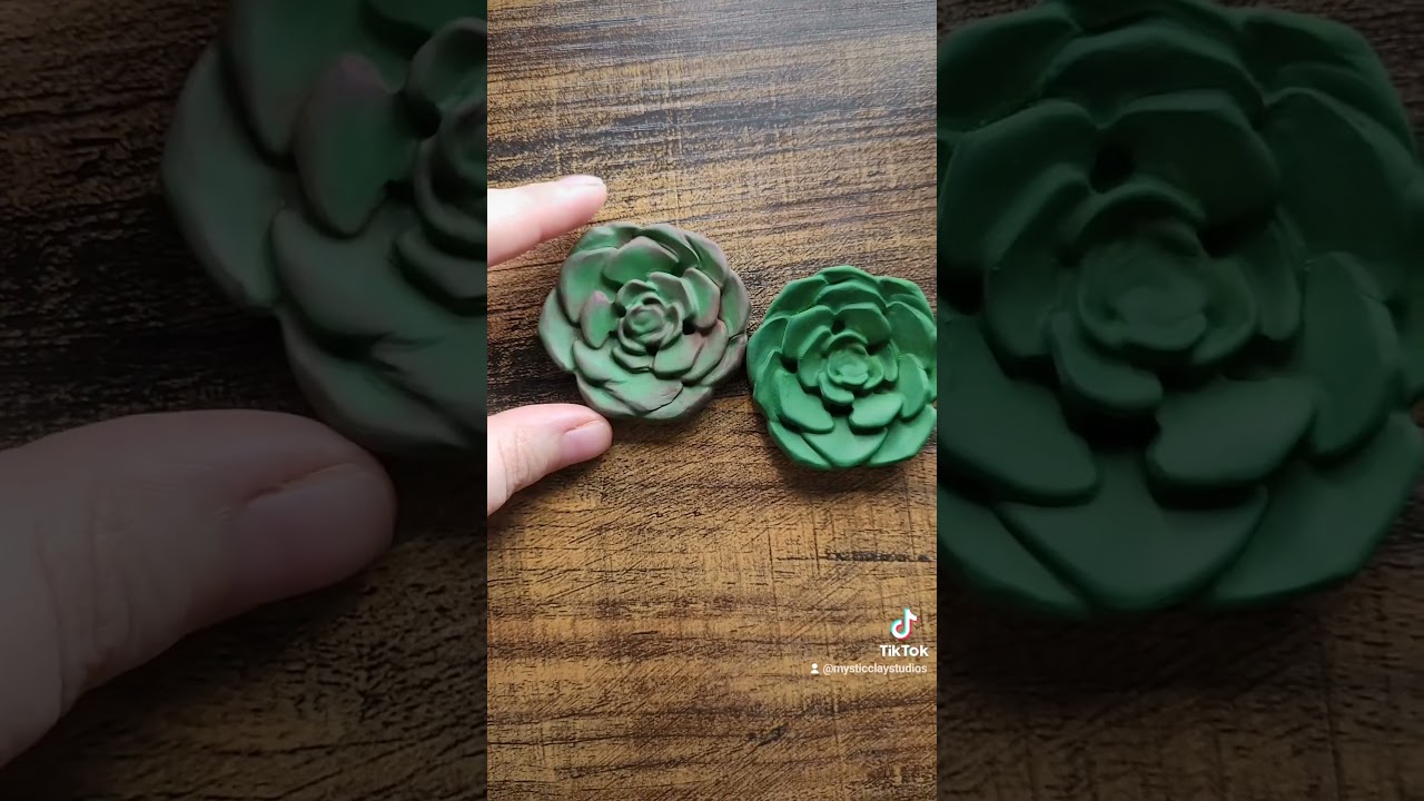 Introducing my succulent magnets and paperweights, link in bio!