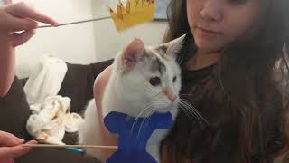 Hometasking 2.1 - Submission By The 10Yo