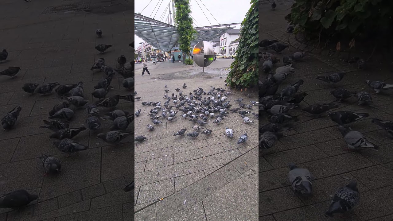 Siegen city,Germany.🕊️🇩🇪