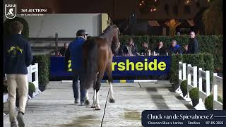 Chuck van de Spievahoeve Z