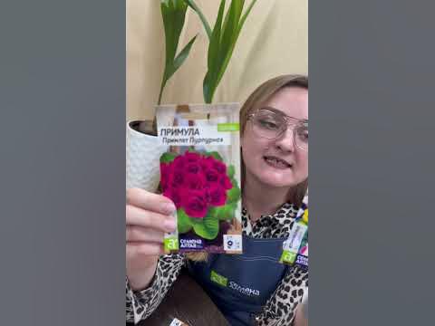 Торения и примула от Семена Алтая #сад #огород #дача #семенаалтая - YouTube