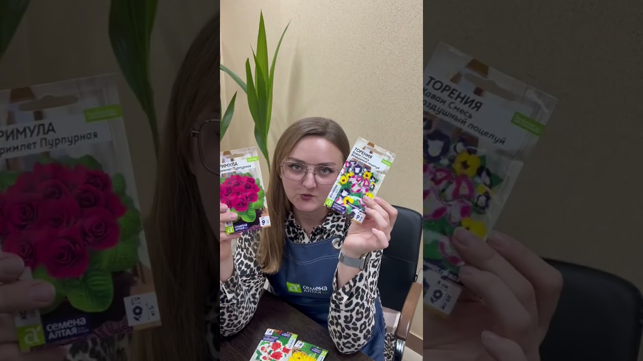 Торения и примула от Семена Алтая 