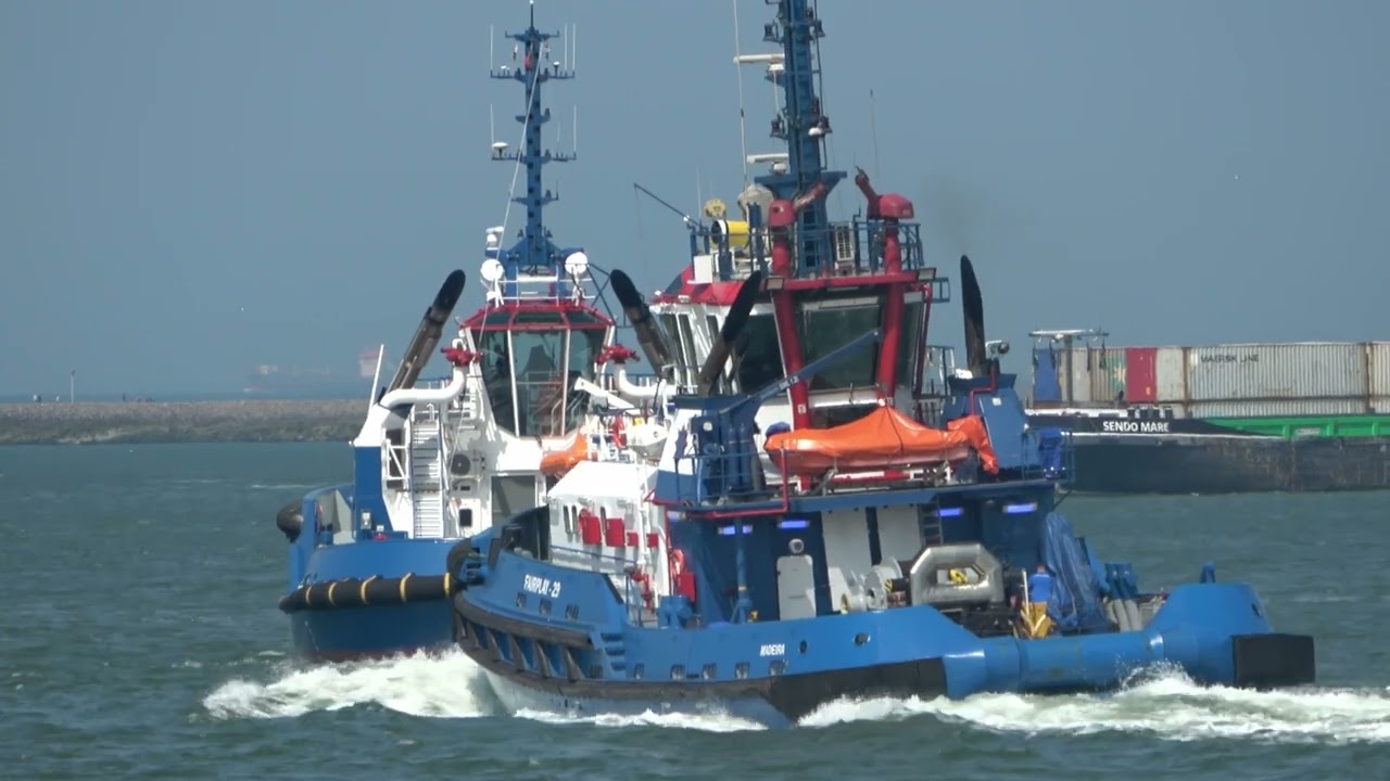Large Collection of Tugboats and Mega Ships in Port of Rotterdam 2024