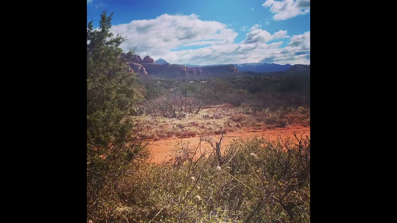 Video of Coconino National Forest Road 525 - Dispersed Camping, AZ from Jessica Y.