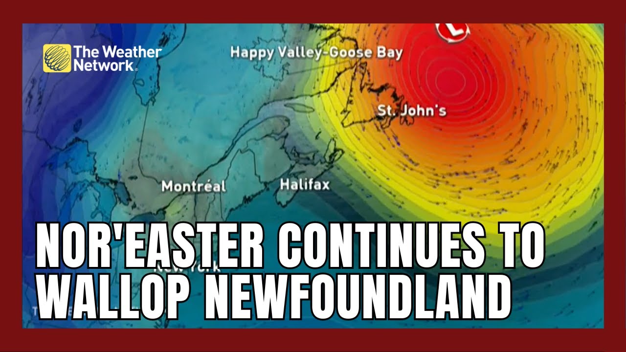 Snow Threatens Difficult Travel Conditions in Newfoundland - YouTube