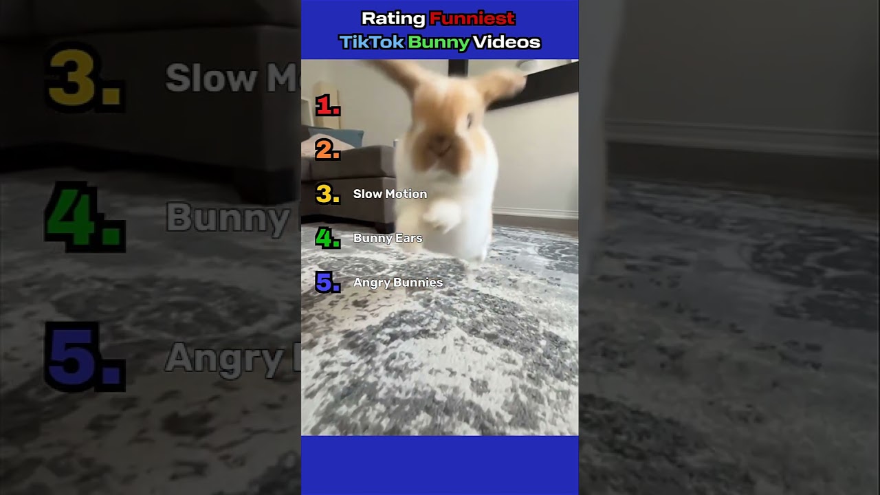 Rating Funniest TikTok Bunny Videos