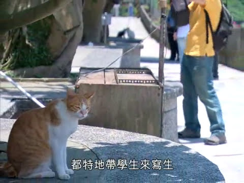 侯硐｜真假貓天堂(公共電視 我們的島第611集 2011-06-13)