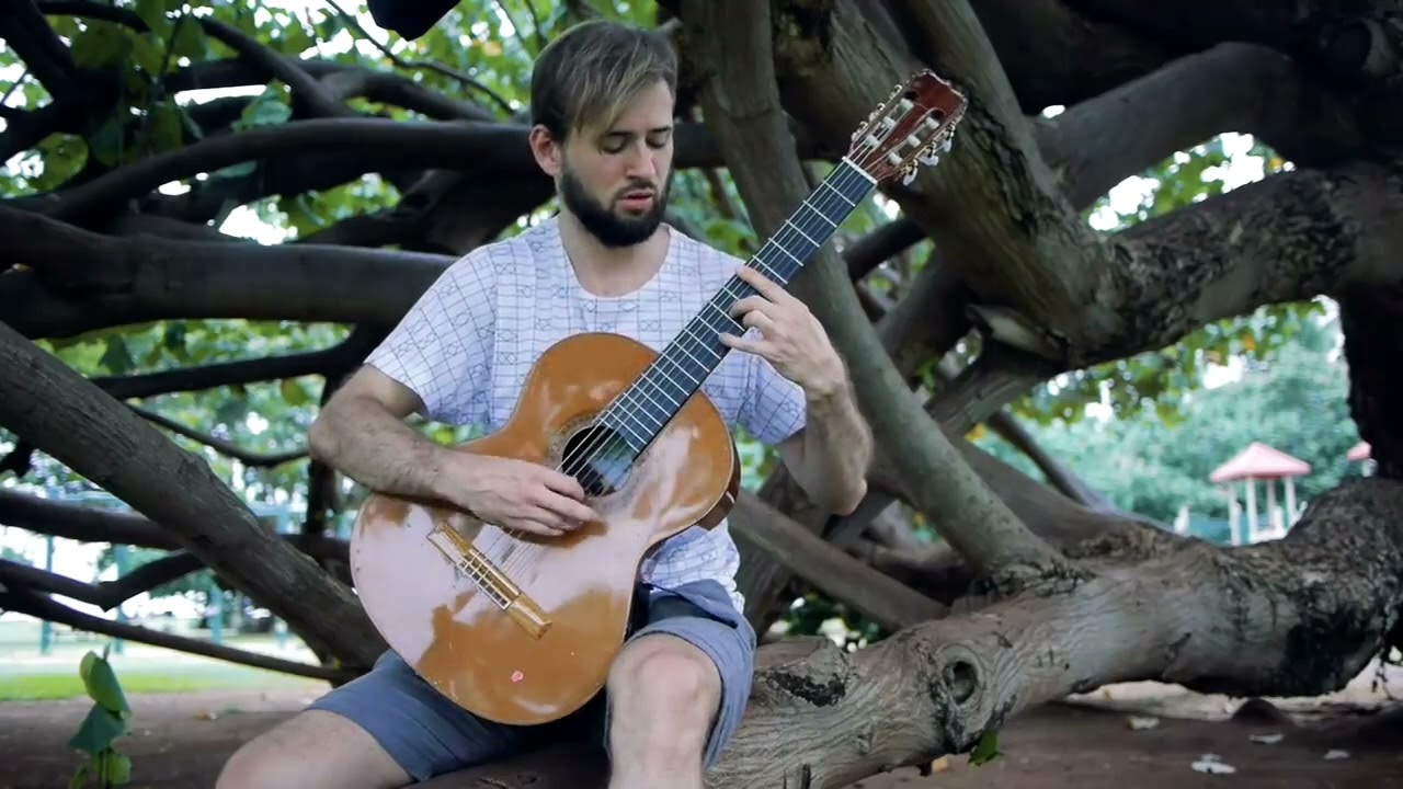 Zelda Breath of the Wild Guitar Cover - Rito Village