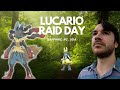 I Climbed a Mountain for MEGA LUCARIO!