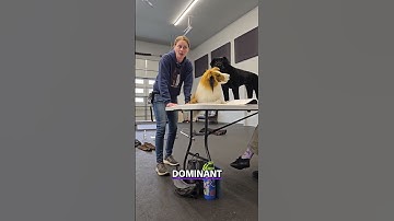 Resource Guarding Body Language