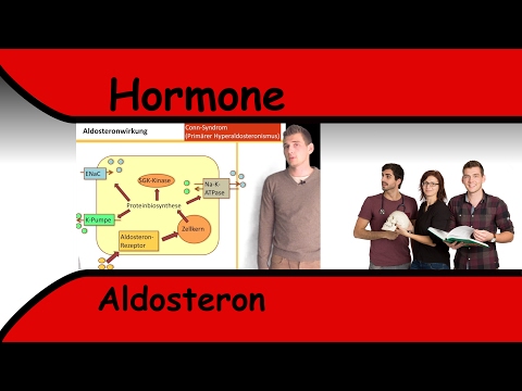 Video: Aldosteron-Test: Verfahren, Verwendung Und Ergebnisse
