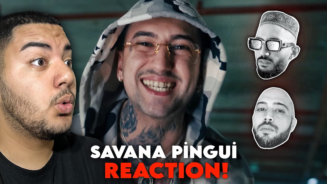 BEN FERO VE ŞAM GÖNDERMESİ ?! savana pingui reaction