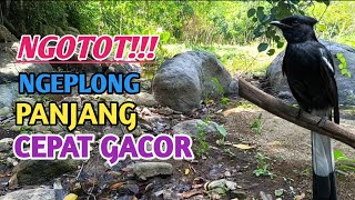 MASTERAN KACER BAGUS SAYANG KALAU TIDAK DI DOWNLOAD! JUARA NASIONAL 