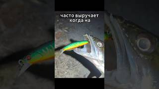 ТРИ ВОБЛЕРА НА СУДАКА