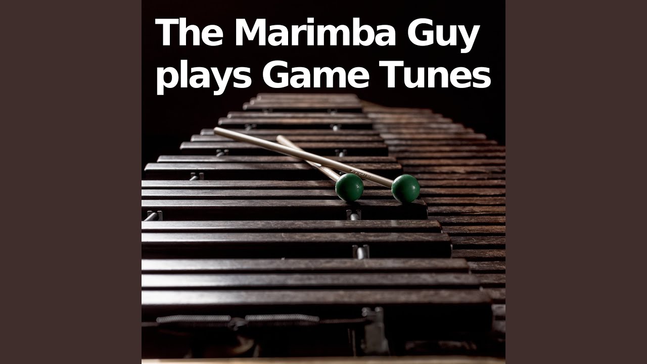 Unnecessary Tension (From "Undertale") (Marimba Version)