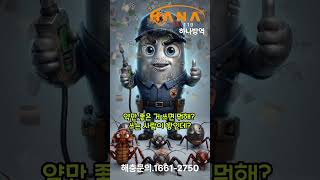 🚨 셀프 방역 하다가 벌레랑 동거하게 된 사연 (충격)