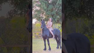 Look what the horse did #cowboymemes #youtubeshorts #horse #jokeoftheweek #agriculture #viralshorts Look what the horse did #cowboymemes #youtubeshorts #horse #jokeoftheweek #agriculture #viralshorts